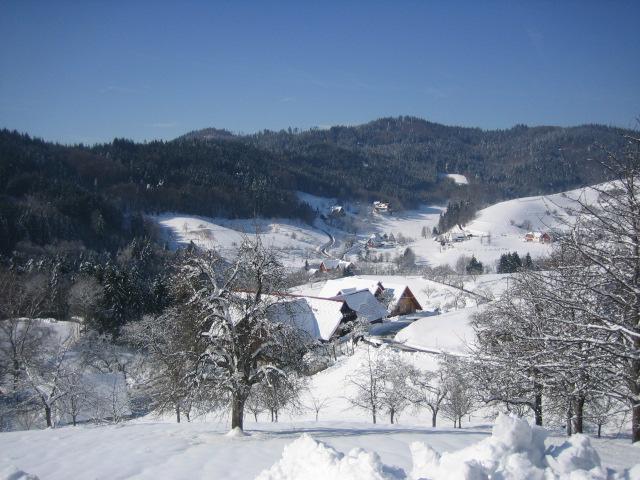 Ferienhof Fischer Seebach Exterior foto